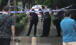 南宁男童爆料新闻,揭露校园霸凌黑幕